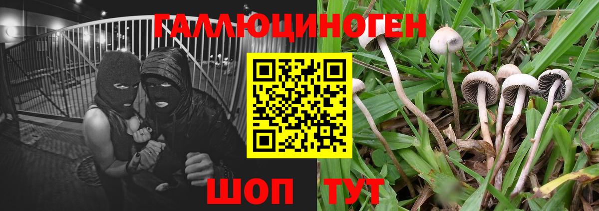 Воскресенск  Галлюциногенные грибы мицелий  Вход с VPN 